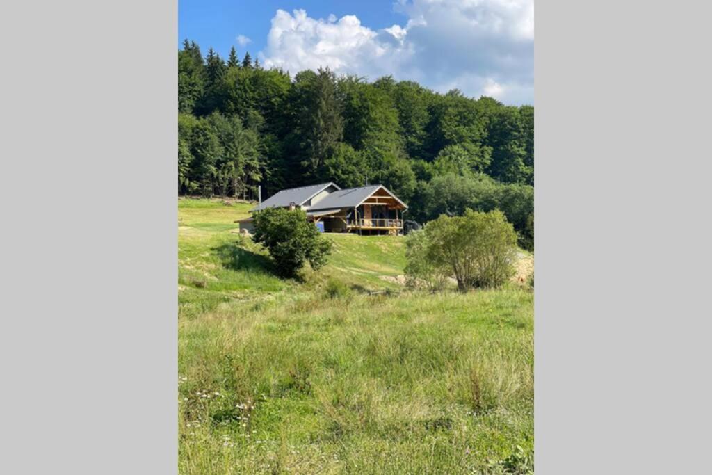 Valley House Cabana Cu Priveliste De Vis Sita Buzăului Exterior photo
